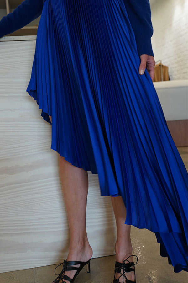 Sid Neigum Fibonacci Elipse Pleated Skirt In Blue