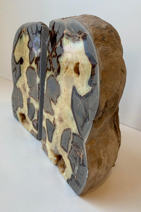 Septarian Bookends