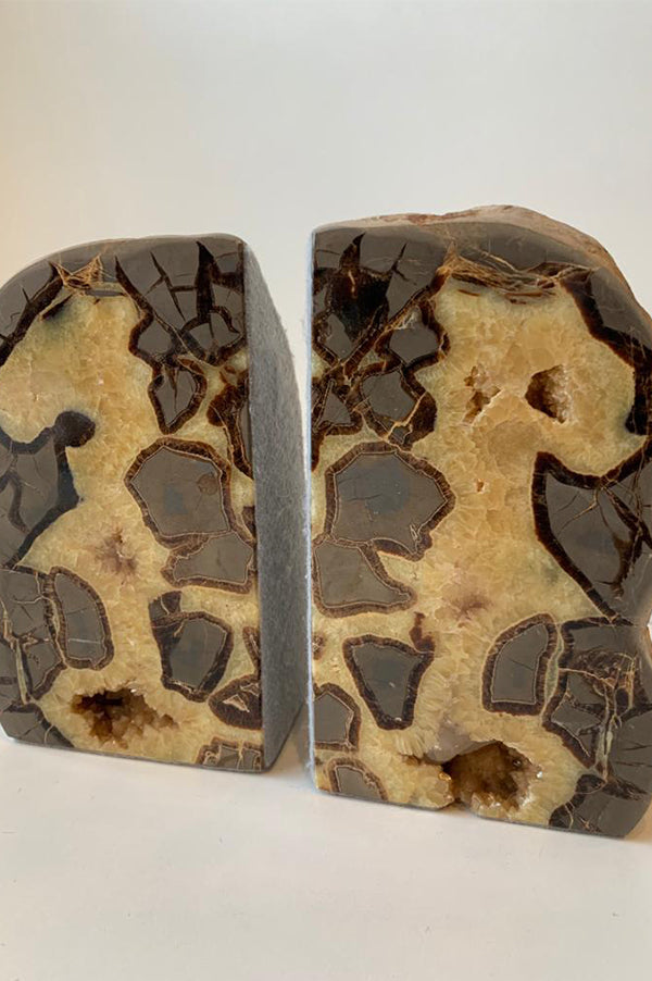 Septarian Bookends