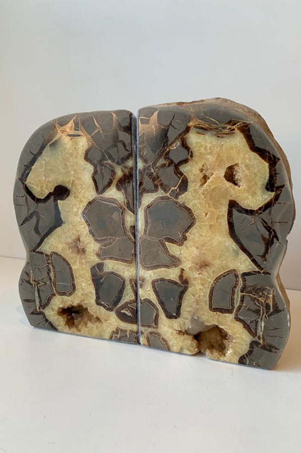 Septarian Bookends