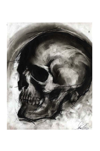 Skull Study IV